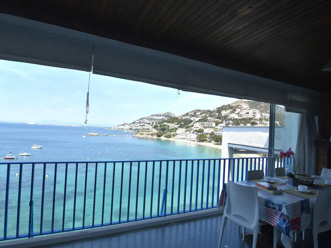 Location de Vacances Roses 534