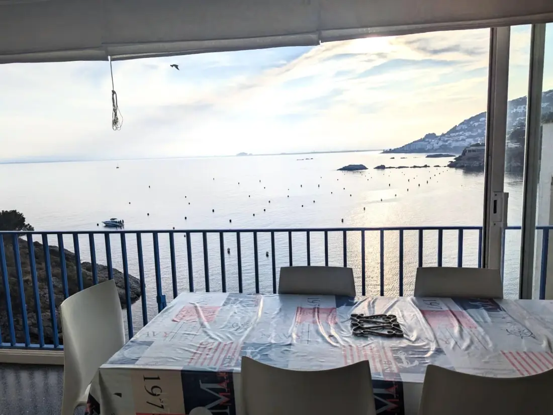 Location de Vacances Roses 534