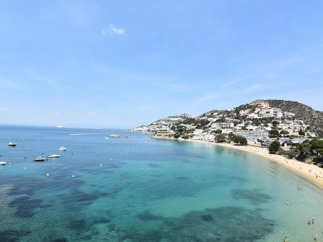 Location de Vacances Roses 534