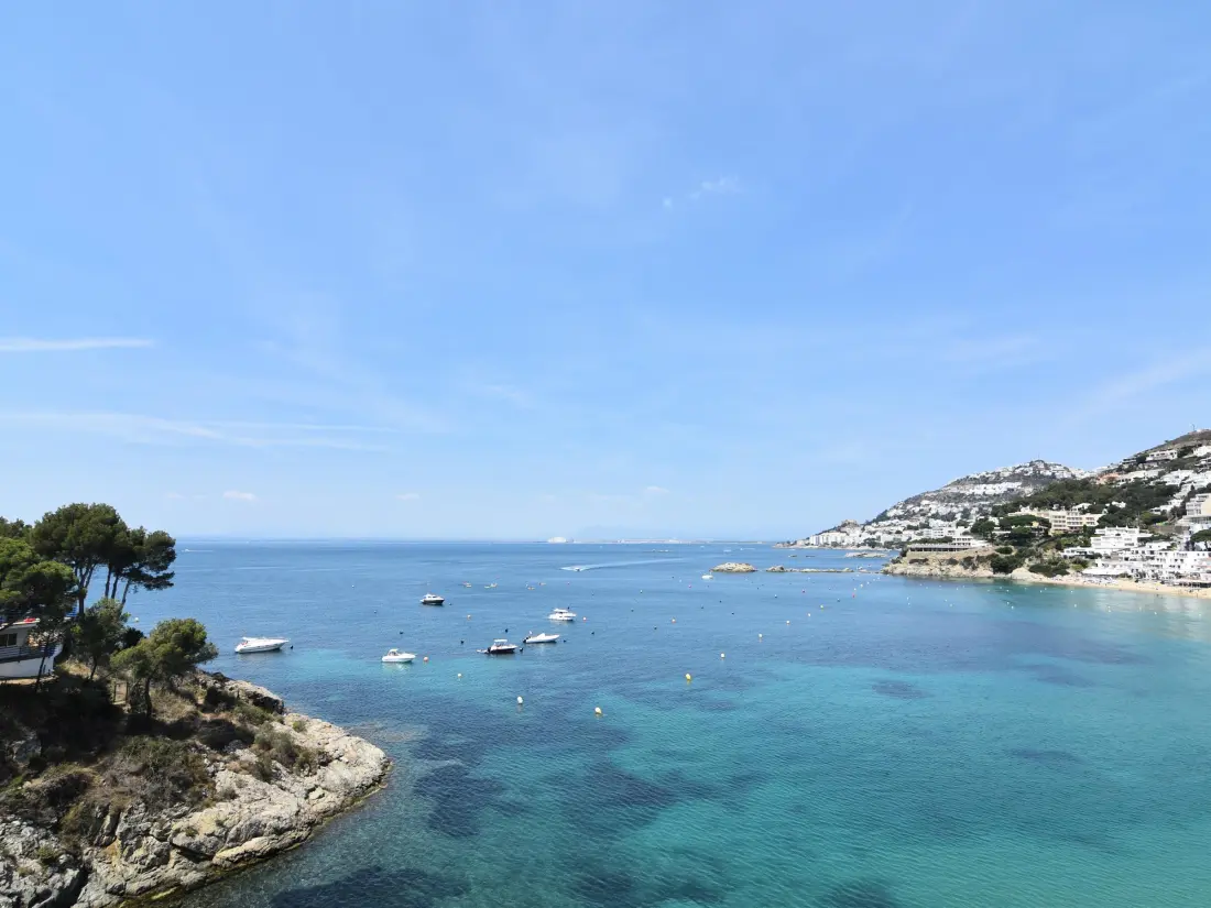 Location de Vacances Roses 534