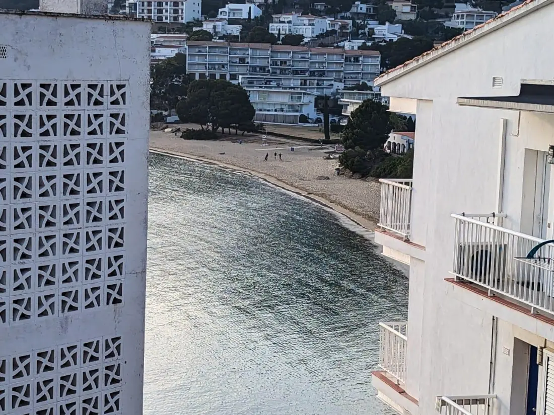 Location de Vacances Roses 534