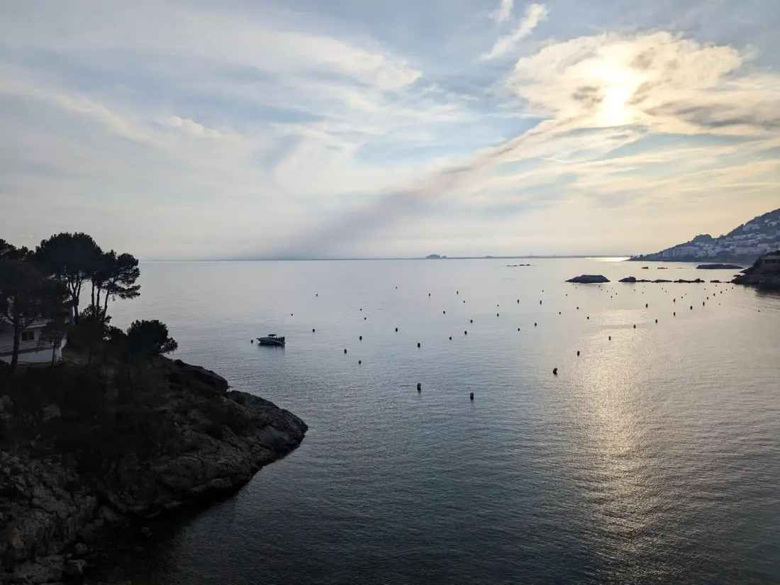 Location de Vacances Roses 534