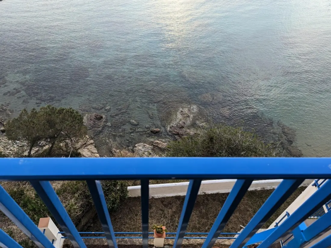 Location de Vacances Roses 534