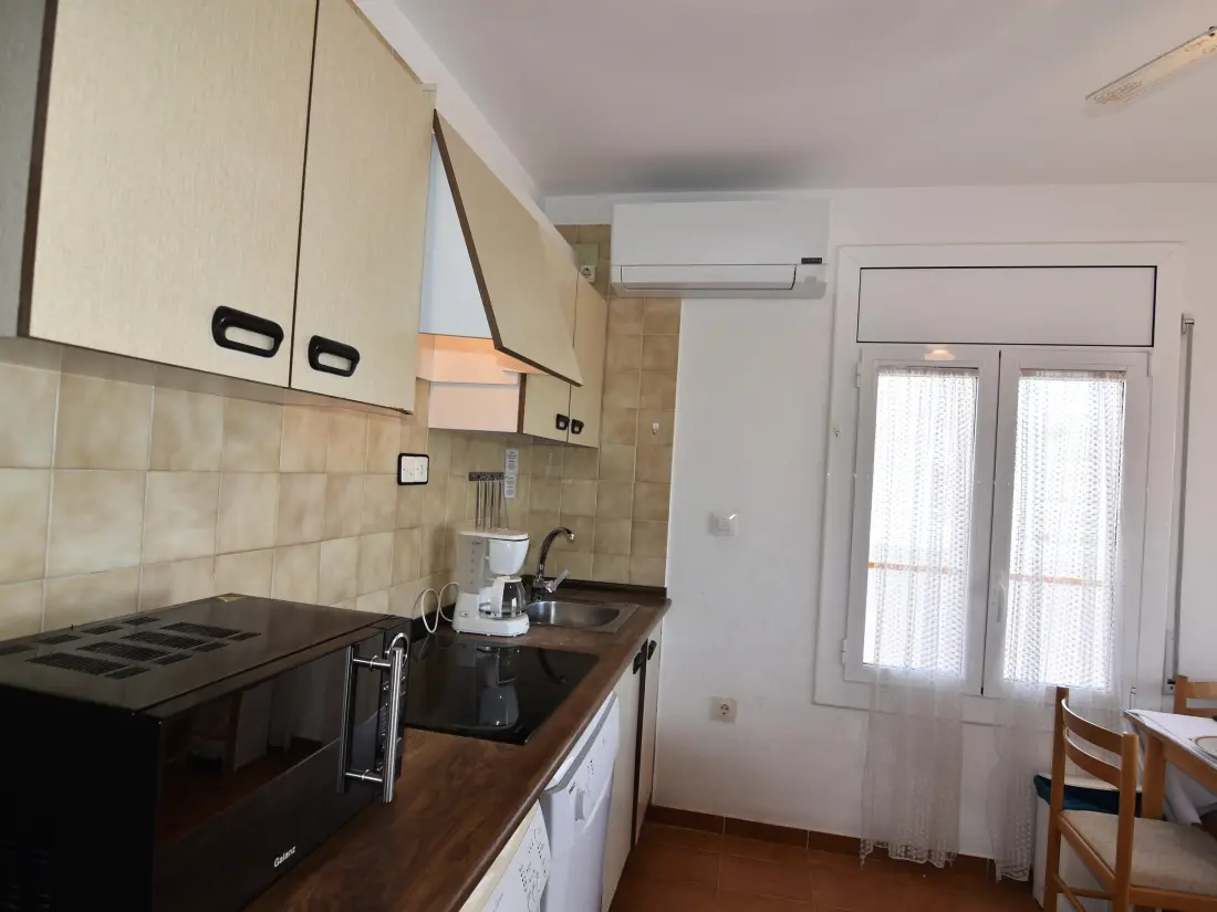 Location de Vacances Roses 535