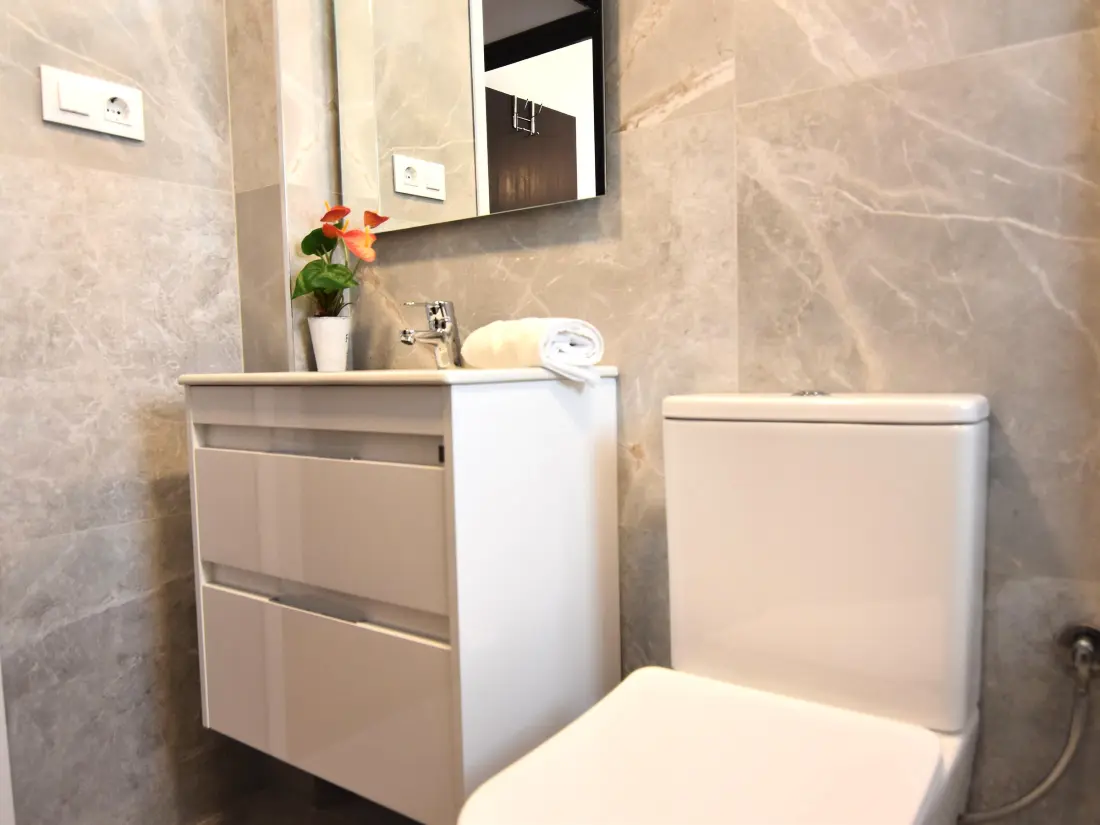 Location de Vacances Roses 535