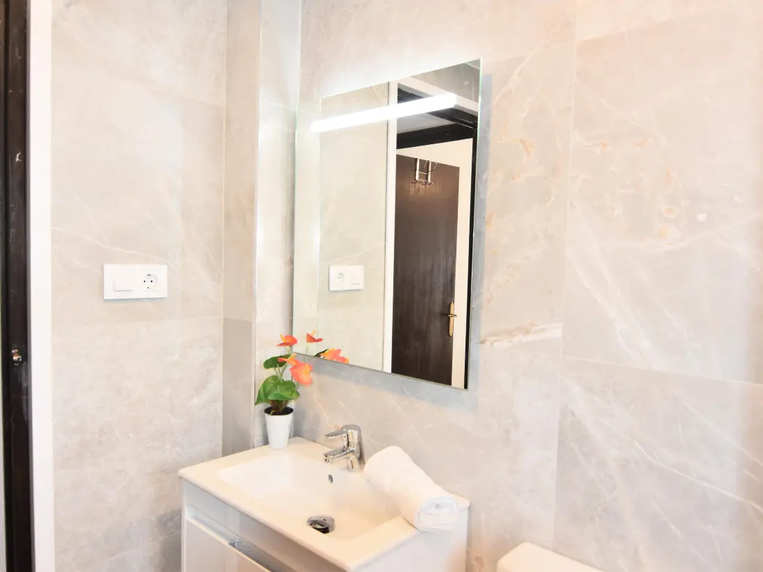 Location de Vacances Roses 535