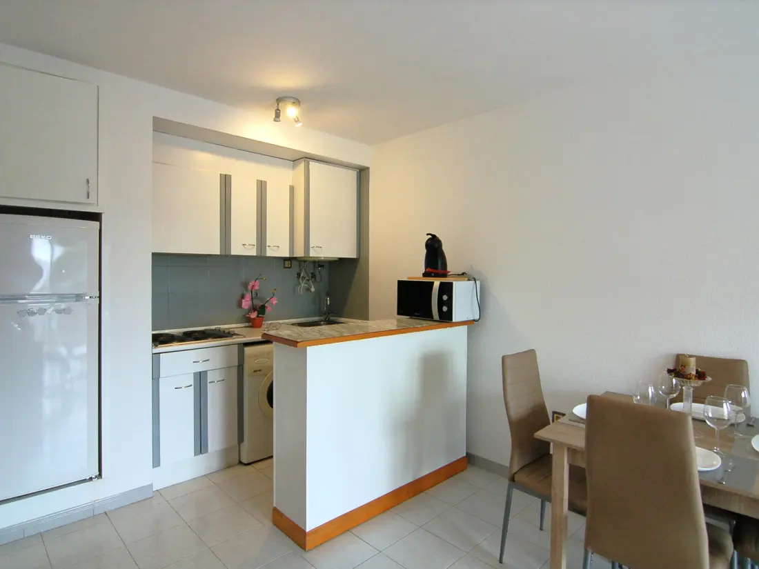 Location de Vacances Roses 536