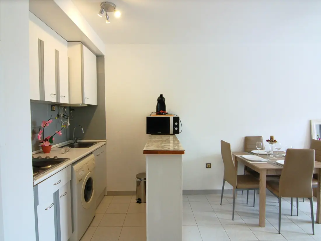 Location de Vacances Roses 536
