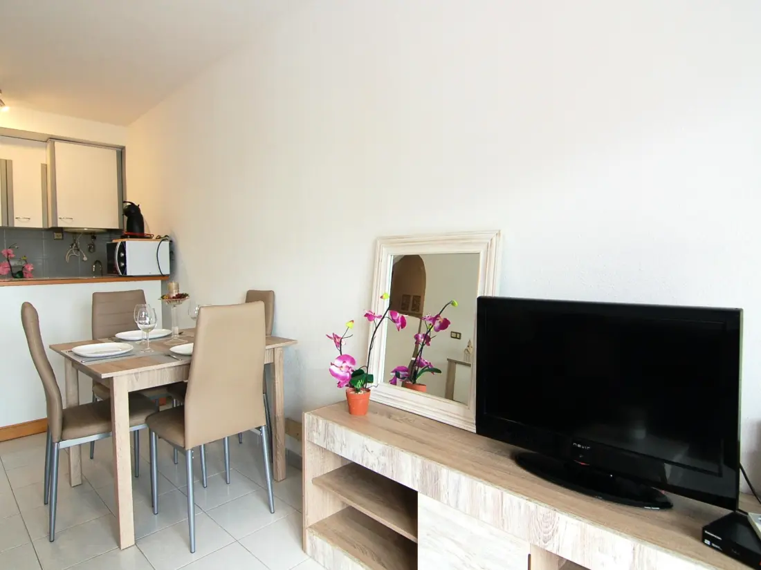Location de Vacances Roses 536