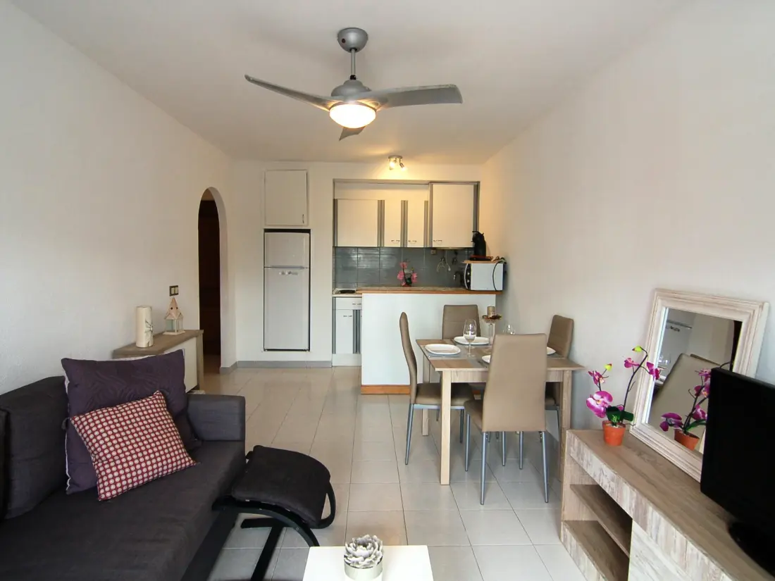 Location de Vacances Roses 536