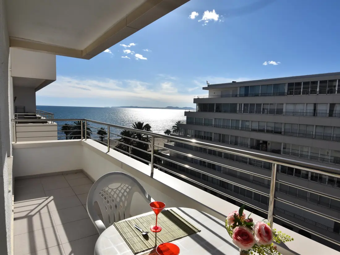 Location de Vacances Roses 540