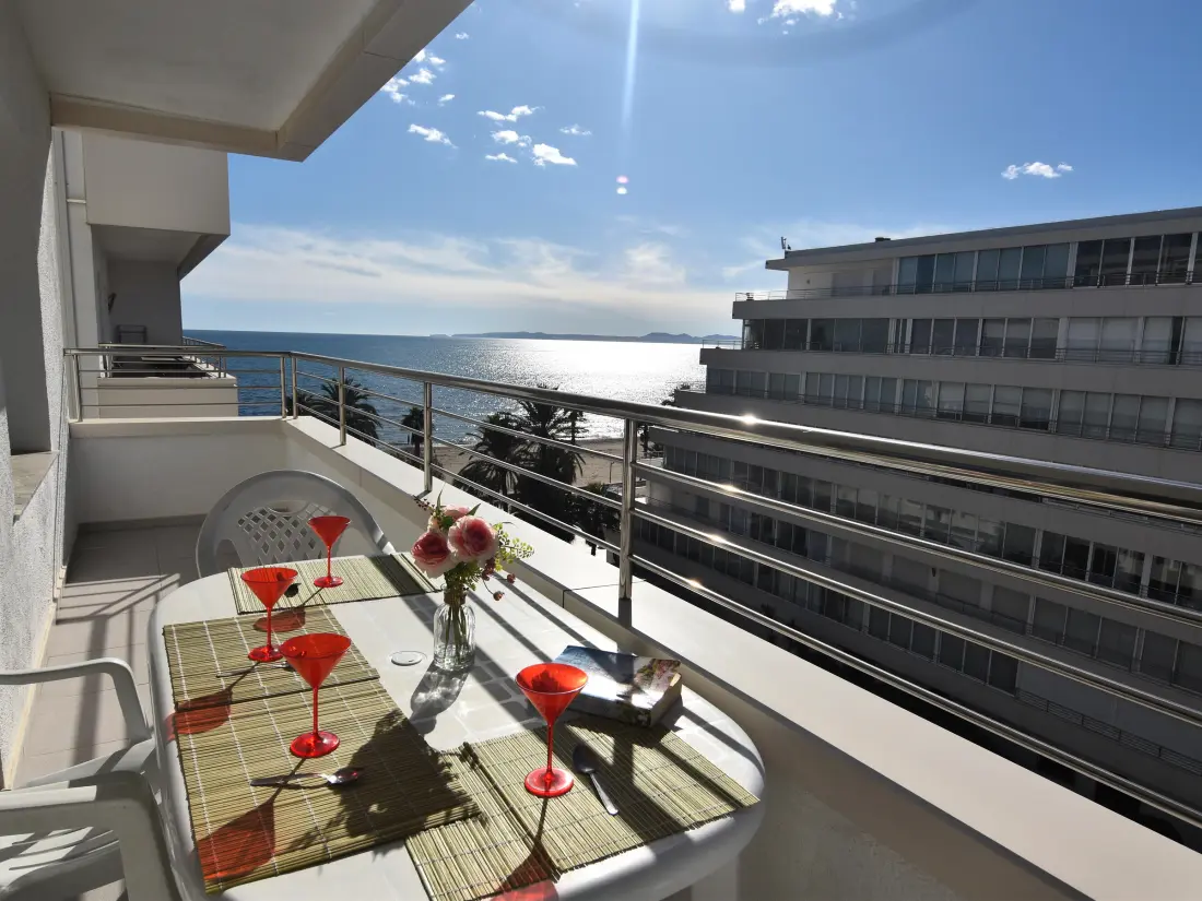 Location de Vacances Roses 540