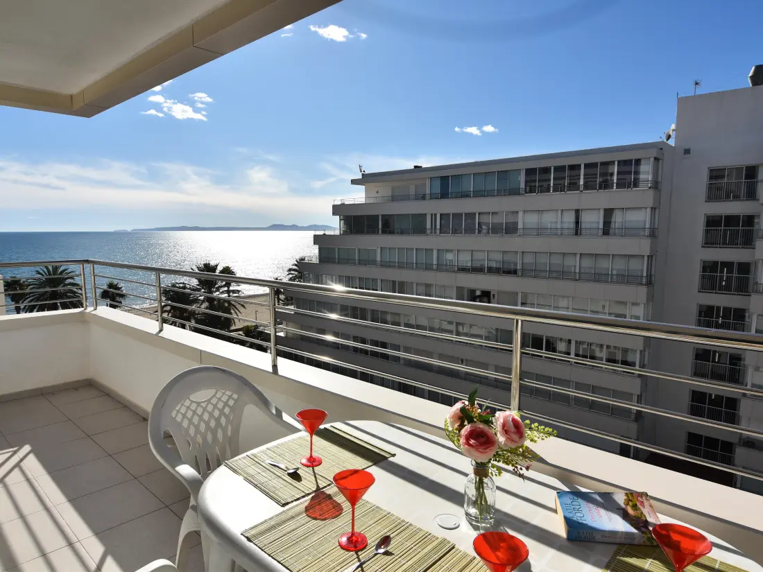 Location de Vacances Roses 540