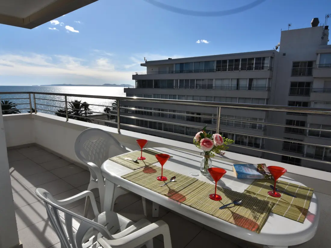 Location de Vacances Roses 540