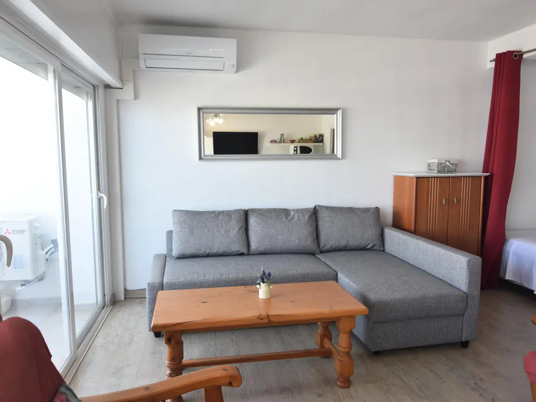 Location de Vacances Roses 540