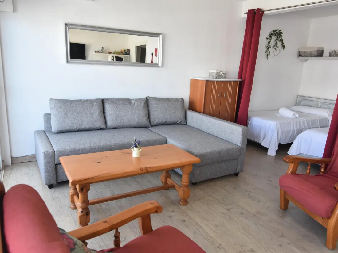 Location de Vacances Roses 540