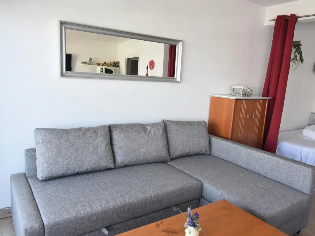 Location de Vacances Roses 540