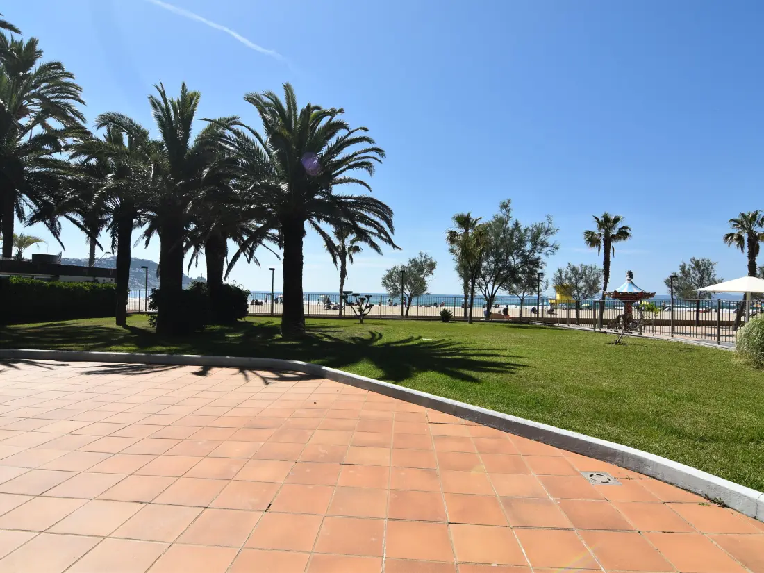 Location de Vacances Roses 540