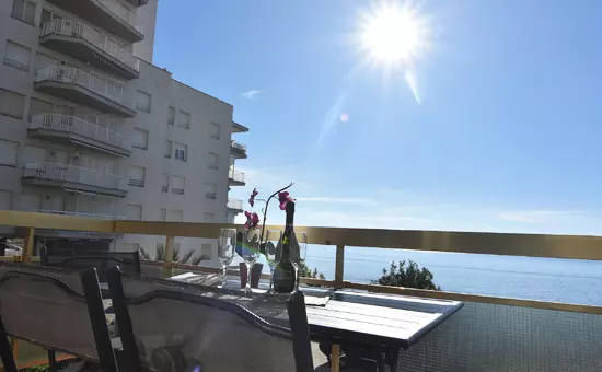 Location de Vacances Roses 542