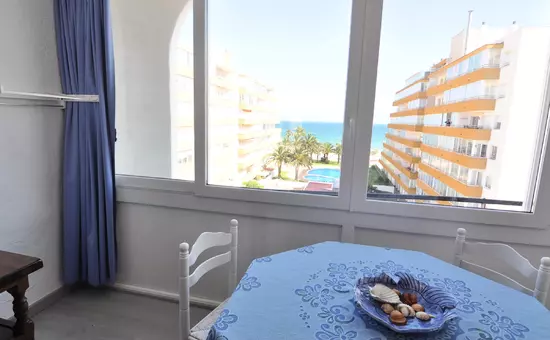Location de Vacances Roses 543