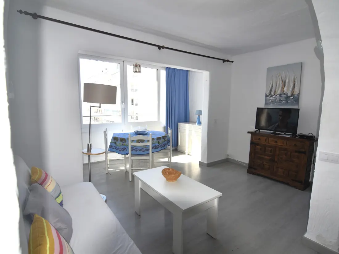 Location de Vacances Roses 543