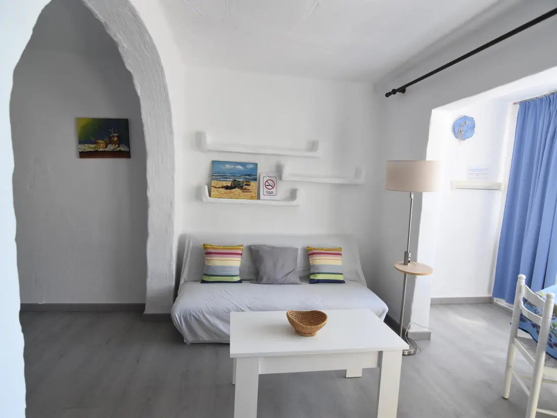 Location de Vacances Roses 543