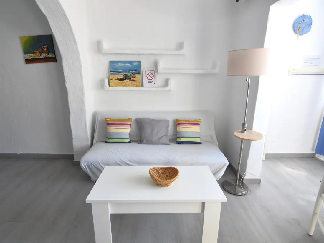 Location de Vacances Roses 543