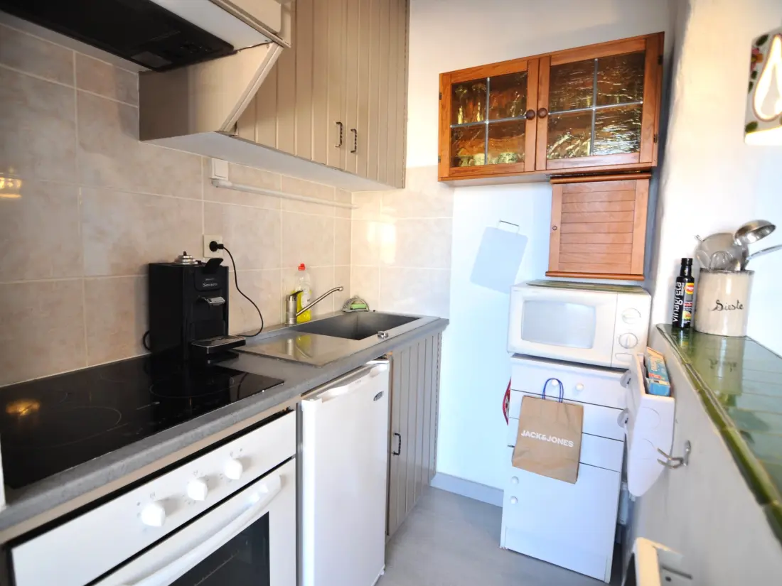 Location de Vacances Roses 543