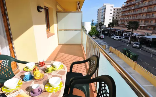 Location de Vacances Roses 546