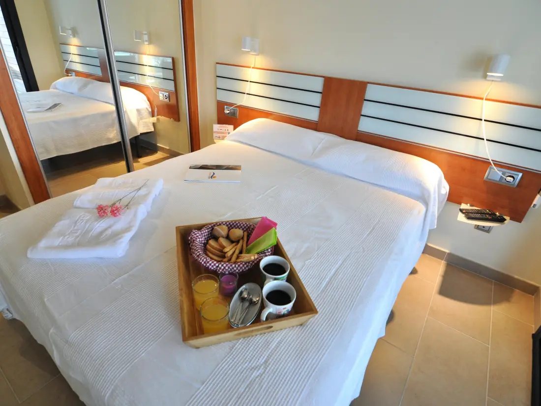 Location de Vacances Roses 549