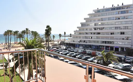 Location de Vacances Roses 553