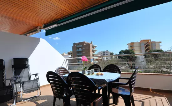 Location de Vacances Roses 558