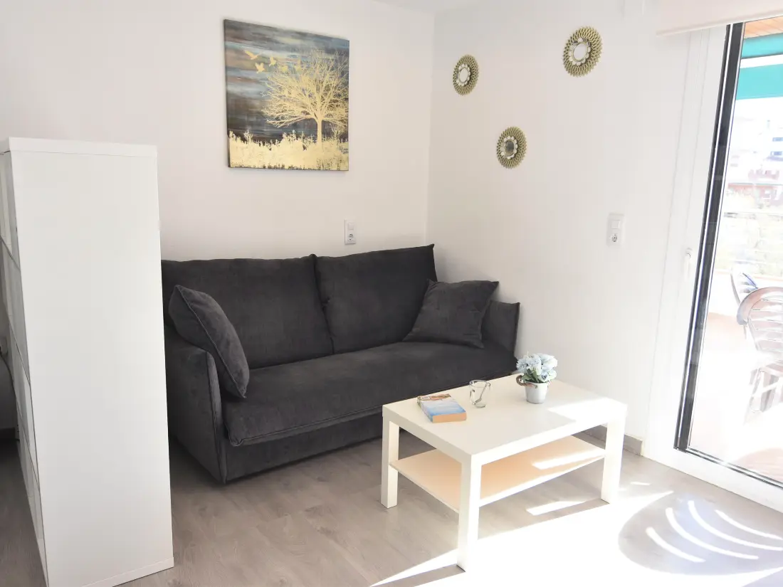 Location de Vacances Roses 558