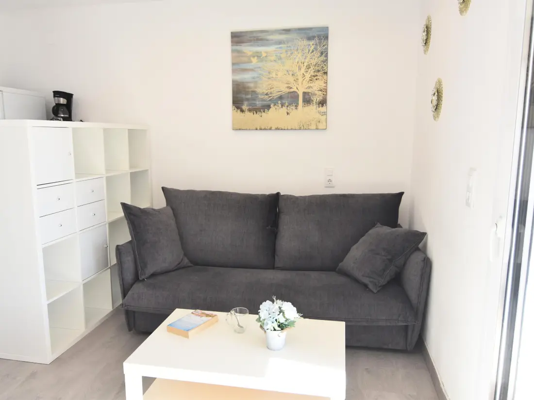 Location de Vacances Roses 558