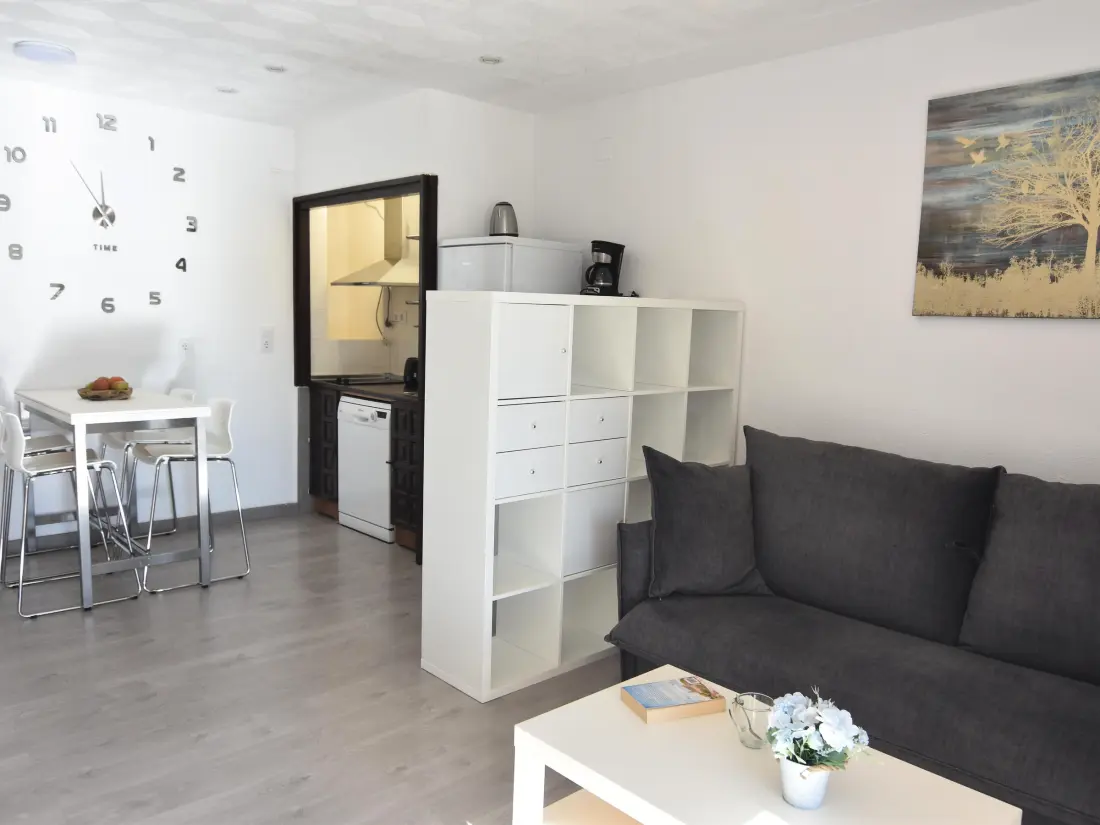 Location de Vacances Roses 558