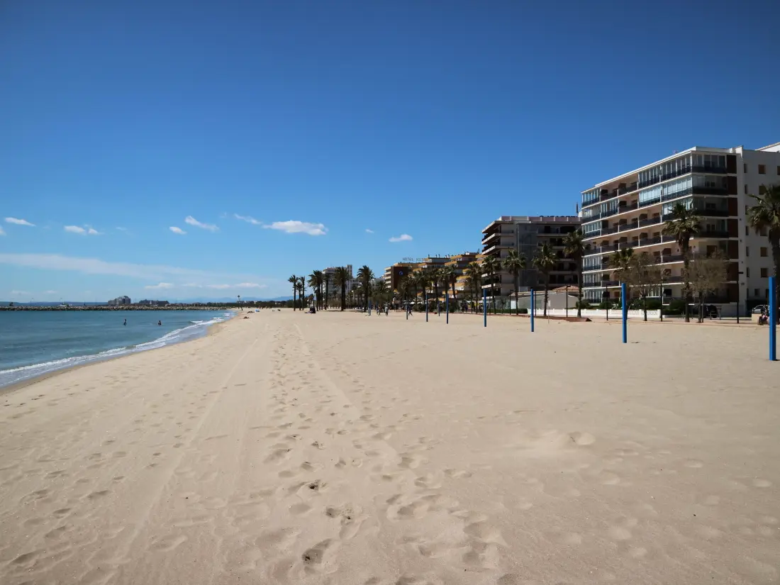 Location de Vacances Roses 561