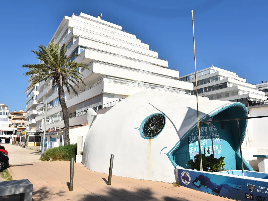 Location de Vacances Roses 565