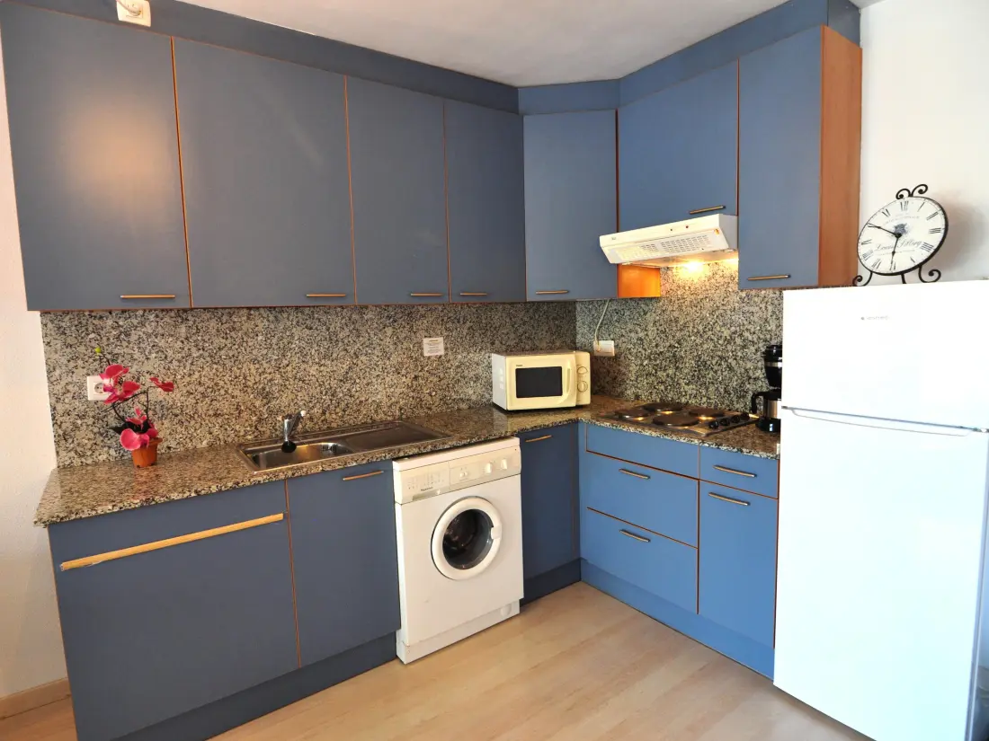 Location de Vacances Roses 568