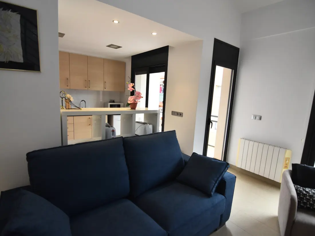 Location de Vacances Roses 571