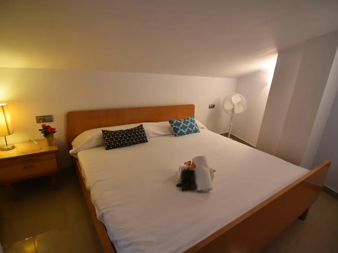 Location de Vacances Roses 571