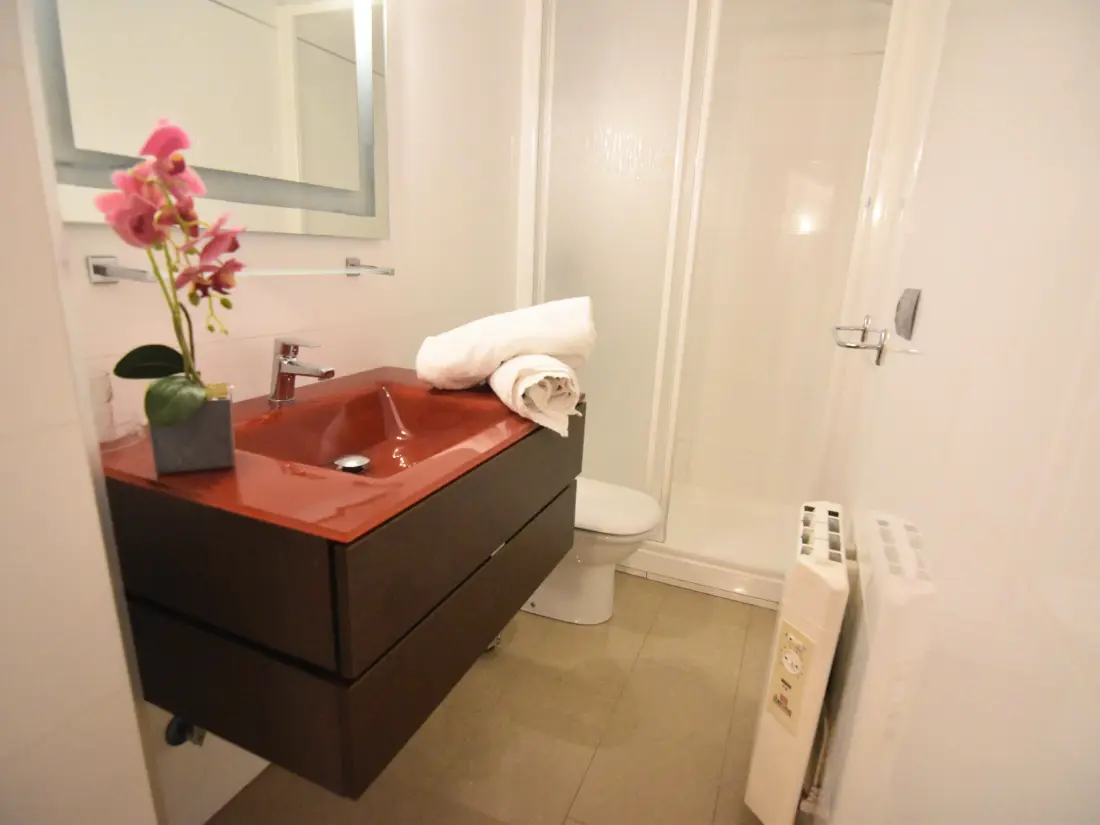 Location de Vacances Roses 571