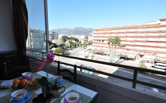 Location de Vacances Roses 579