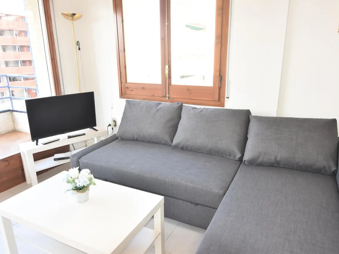 Location de Vacances Roses 588