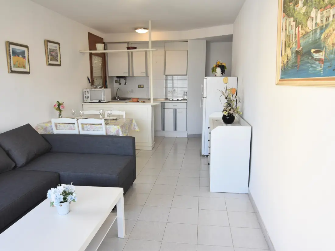Location de Vacances Roses 588