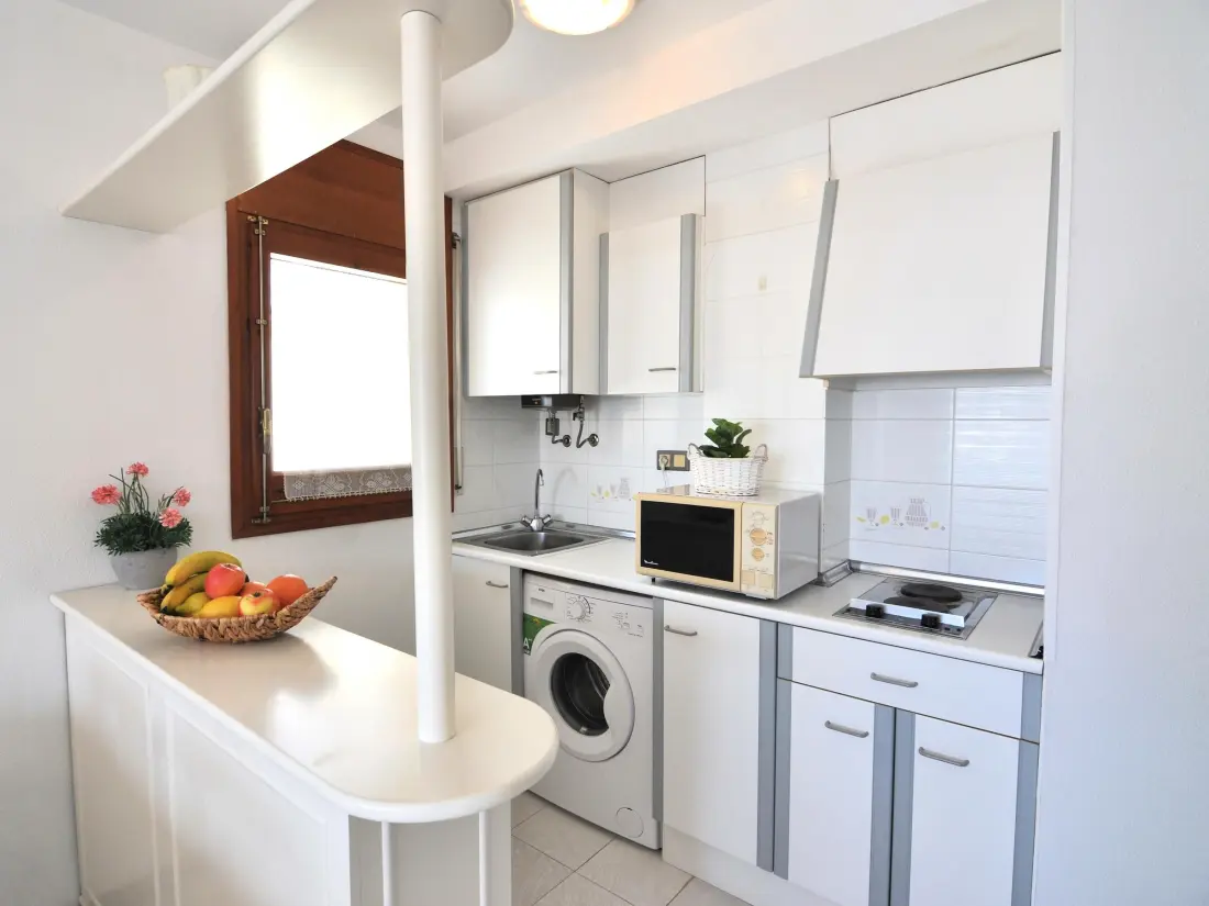 Location de Vacances Roses 588