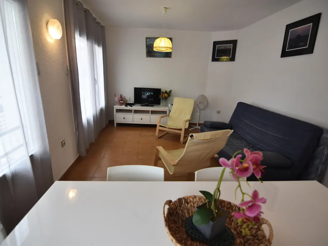 Location de Vacances Roses 591