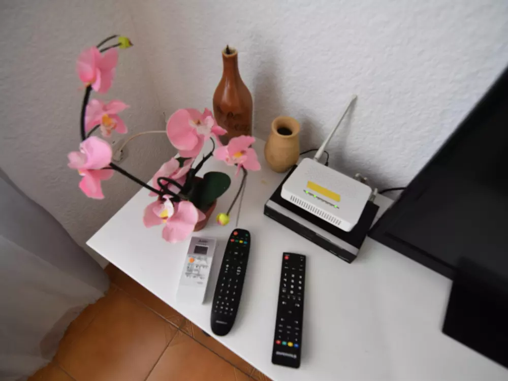 Location de Vacances Roses 591