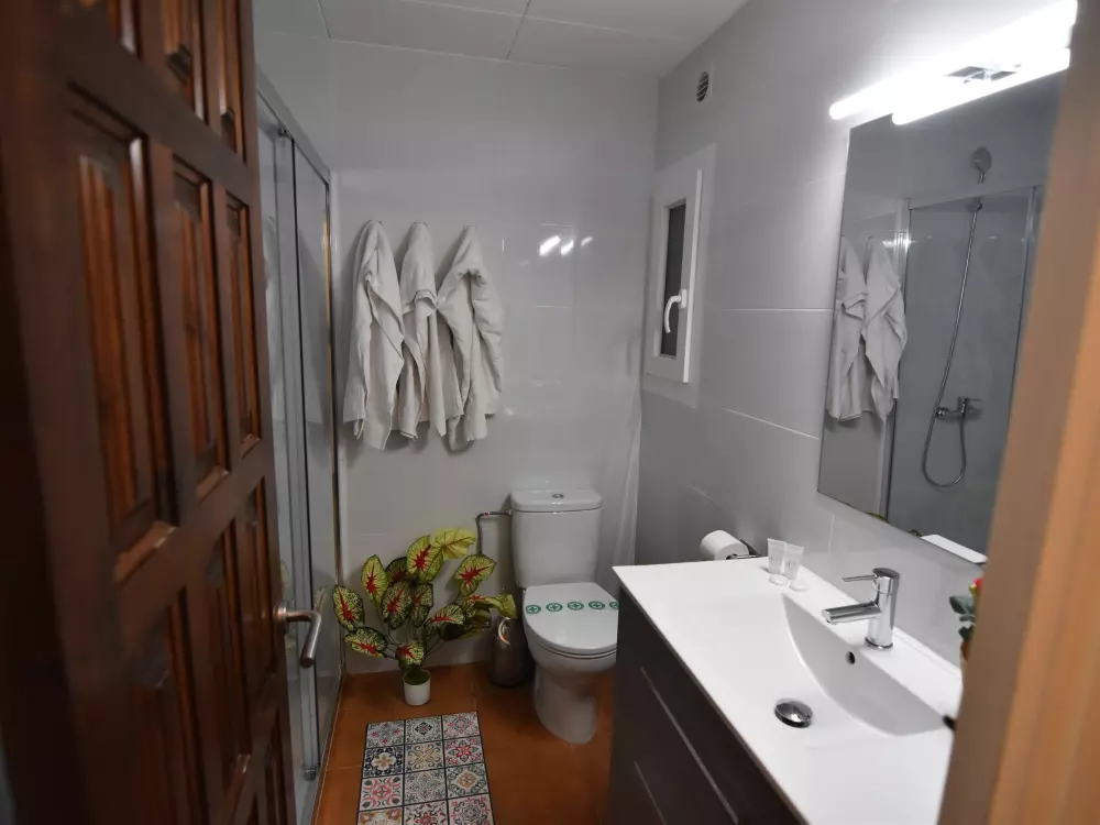 Location de Vacances Roses 591