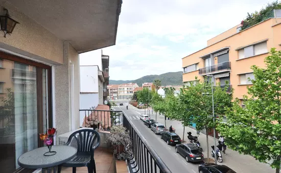 Location de Vacances Roses 594
