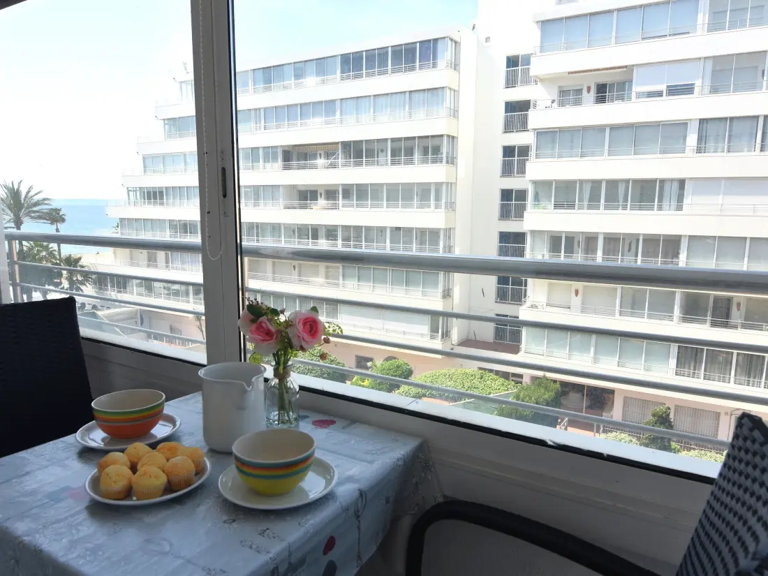 Location de Vacances Roses 598